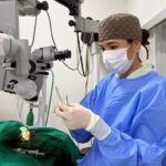 Uberlândia tem cirurgia de catarata veterinária com tecnologia e especialista pioneira