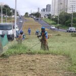 Prefeitura realiza serviços de cata-treco, capina e roçagem nesta quarta (2)
